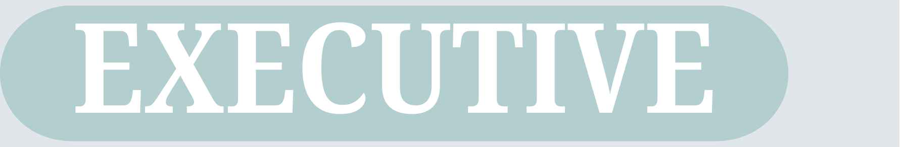 Text 'EXECUTIVE' on a light blue background