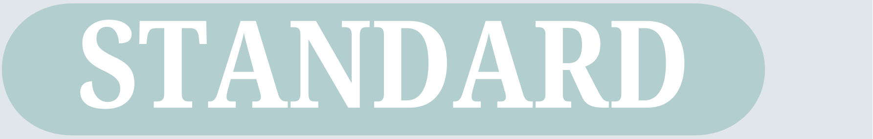 Text 'STANDARD' on a light blue rectangular background